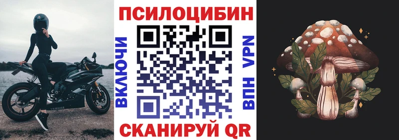 купить наркотики сайты  hydra зеркало  Галлюциногенные грибы GOLDEN TEACHER  Воронеж 